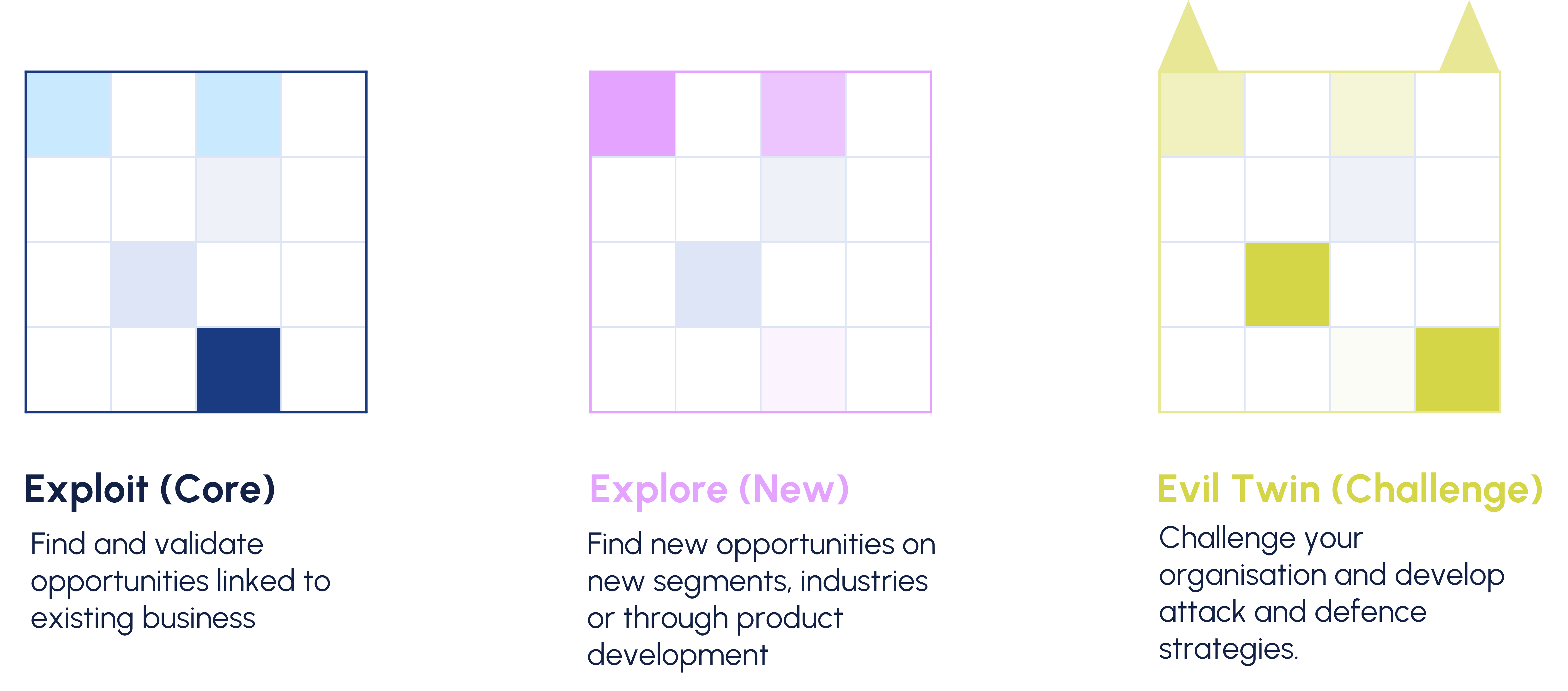 Exploit (Core): Find and validate opportunites linked to existing business. Explore (New): Find new opportunities on new segments, industries or through product development. Evil Twin (Challenge): Challenge your organisation and develop attack and defence strategies.
